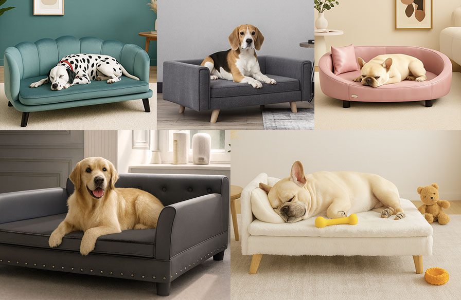 elevated-dog-bed