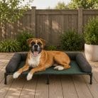 elevated-outdoor-dog-bed