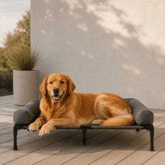 Outdoor Dog Bed Elevated Lounger (3 Sizes)