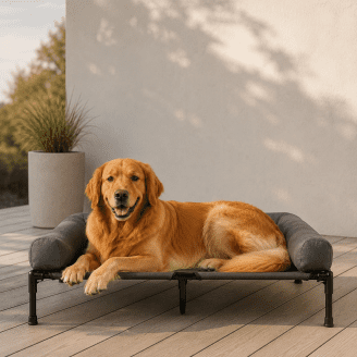 Outdoor Dog Bed Elevated Lounger (3 Sizes)