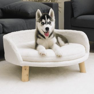 Ultra Soft Elevated Dog Bed - Waterproof