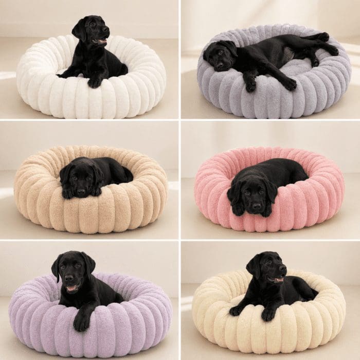 round-dog-beds