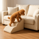 beige-dog-step