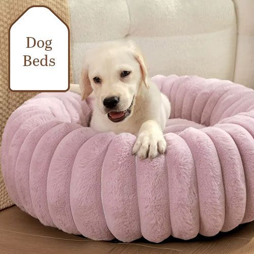 Dog Beds