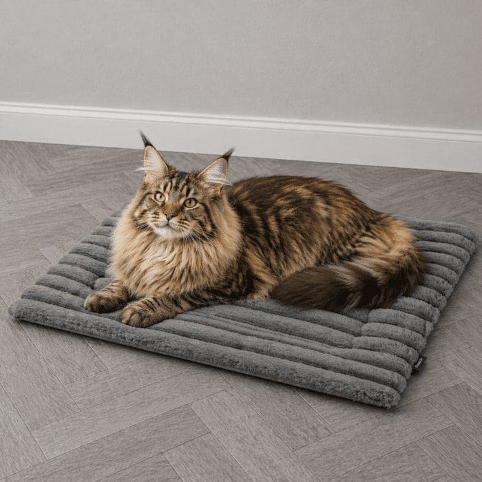 gray-self-heated-cat-mat gray-self-heated-cat-mat