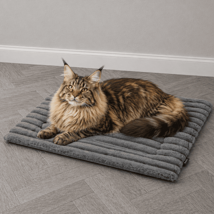 gray-self-heated-cat-mat gray-self-heated-cat-mat