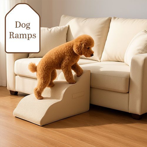 Dog Ramps