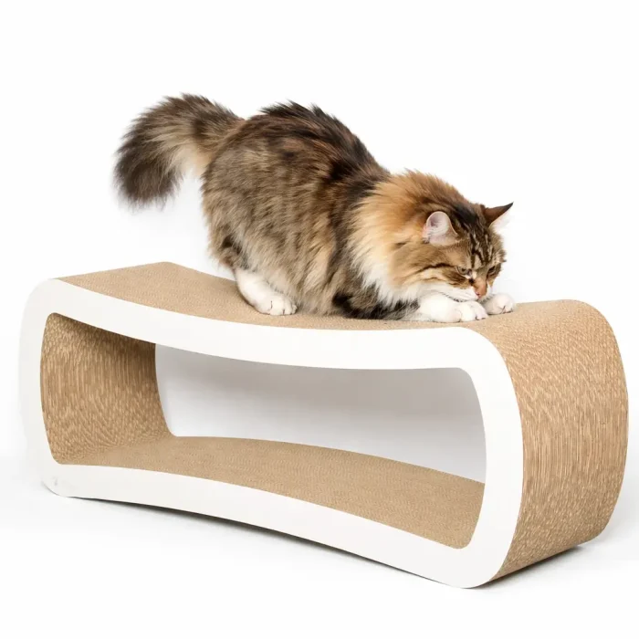 best-cat-scratcher best-cat-scratcher