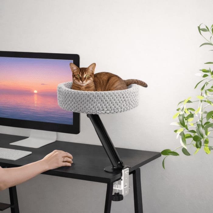 cat-bed-for-office