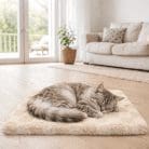 heated-cat-mat