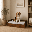 elevated-dog-bed