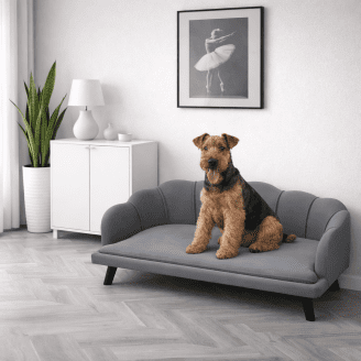 Luxury Pearl Shell Lounger - Velvet Elevated Dog Sofa Bed (Charcoal Gray)