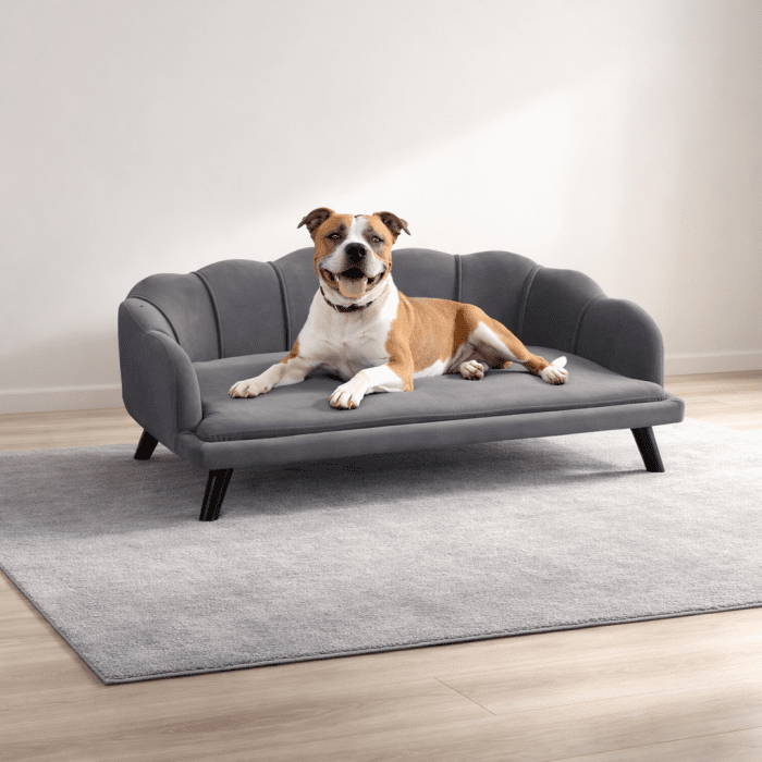 gray-pearl-sofa gray-pearl-sofa