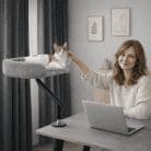 office-cat