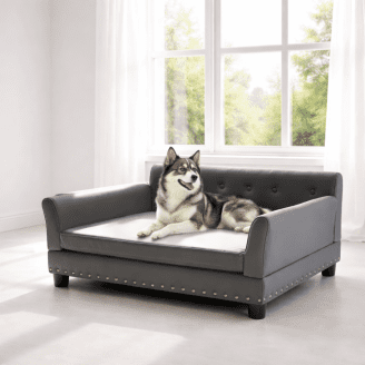 Durable Elevated Dog Bed (Medium & Large Dogs) L & XL