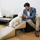 dog-ramp