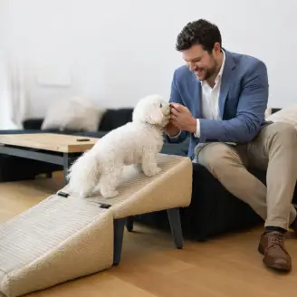 dog-ramp