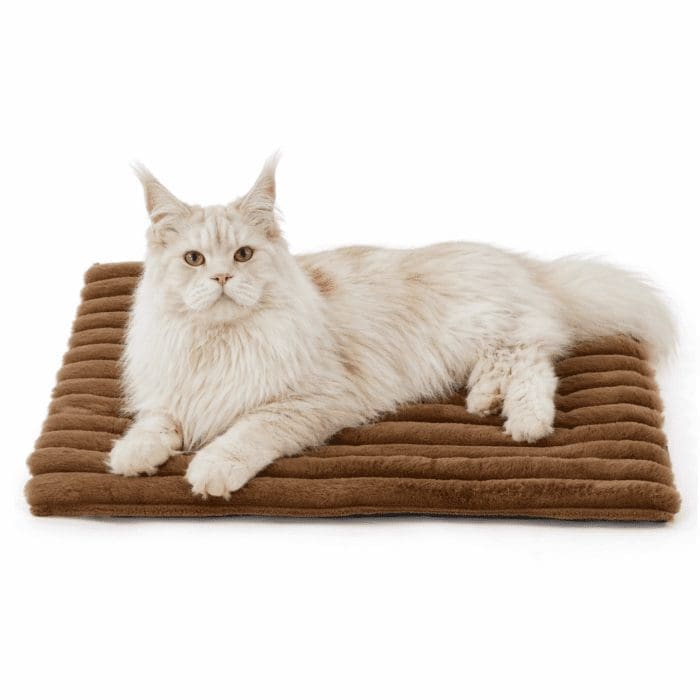brown-heated-cat-mat brown-heated-cat-mat
