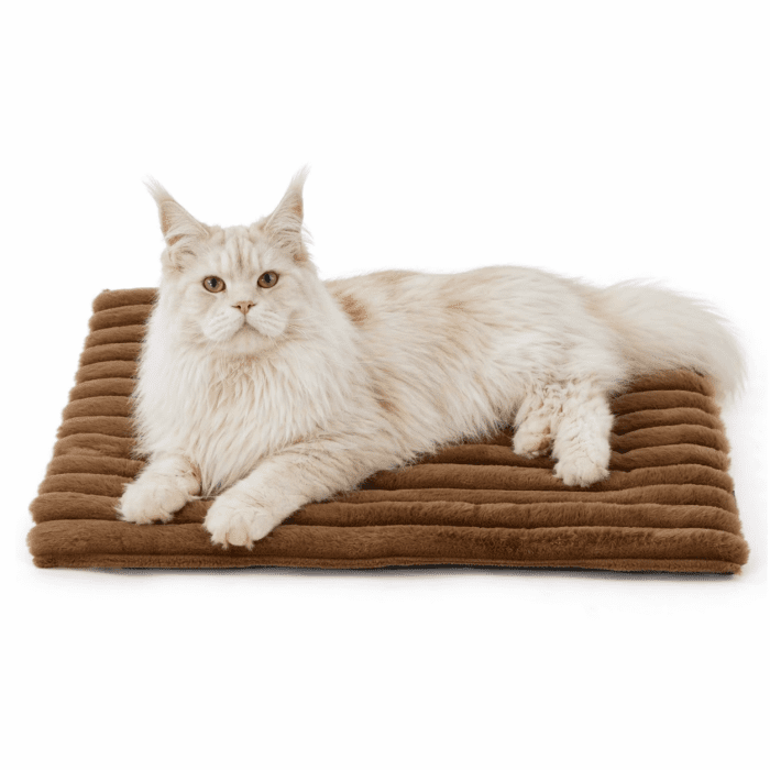 brown-heated-cat-mat brown-heated-cat-mat