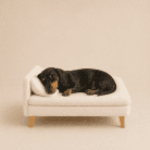 elevated-dog-sofa