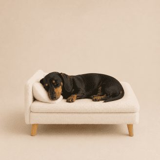 elevated-dog-sofa