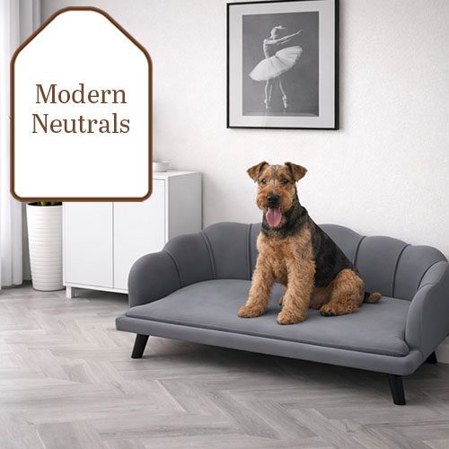 Modern Neutrals