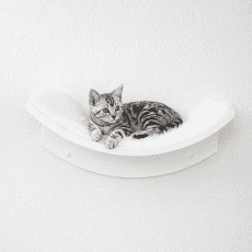 Cat Wall Shelves