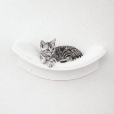 Cat Wall Shelves
