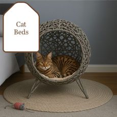 cat-beds