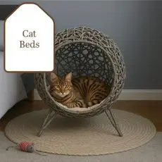 cat-beds
