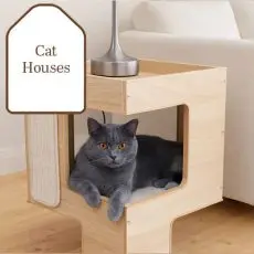 cat-houses