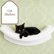 cat-shelves