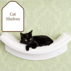 cat-shelves