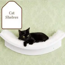 cat-shelves