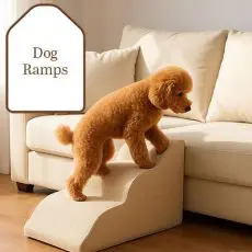 dog-ramps
