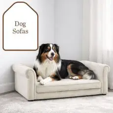 dog-sofas
