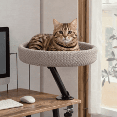 home-office