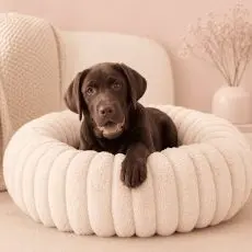 round-pet-bed